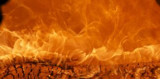 Czym się rozni marką luksusowa od Premium?