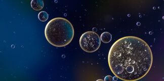 Ile oleju Jaguar XF 27?