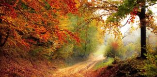 Do którego roku był produkowany Fiat Freemont?