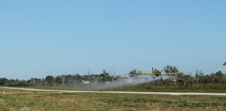 Kiedy nowy Duster 2024?