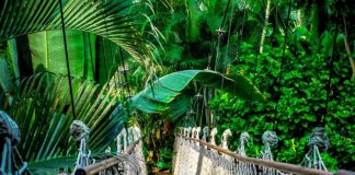 Ile kosztuje kurs na motorówkę?