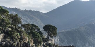 Ile kosztuje Dodge Journey?